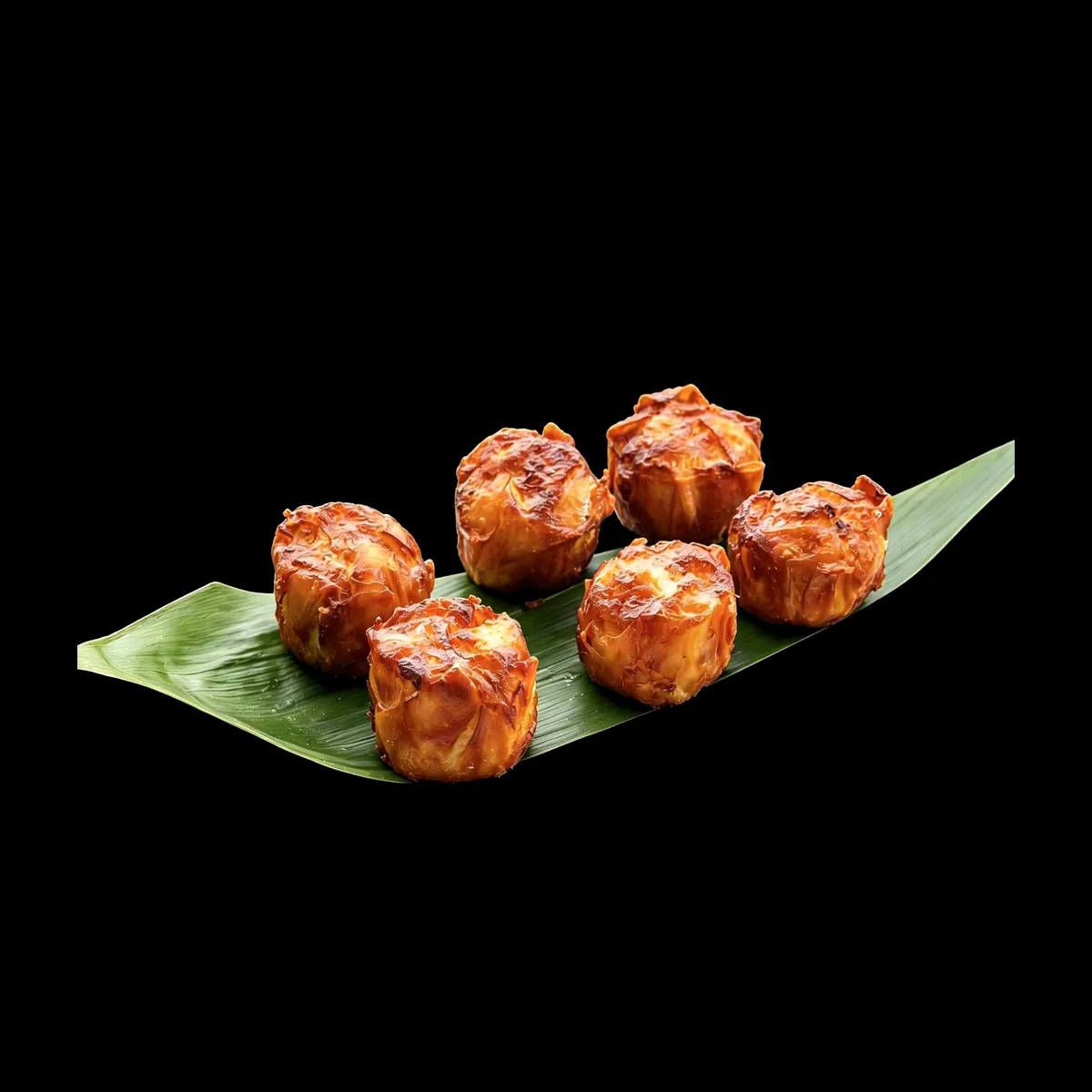 Fried Shumai at Kawa Sushi AYCE, Japanese Restaurant in Elkridge